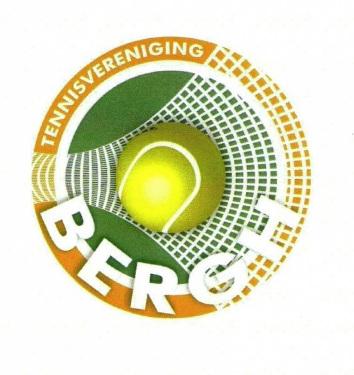 Logo TV Bergh