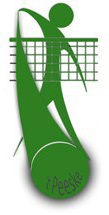 Logo Volleybalvereniging 't Peeske, Beek